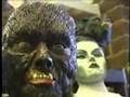 MVP Convention Series: Horrorfind Terry Cruikshank Creations