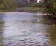 CONTAMINACION DEL RIO LERMA