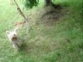 Maya en punition