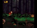 Let's Play Donkey Kong Country 2 episode 14: Swamp nonsence
