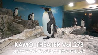 前の動画へ