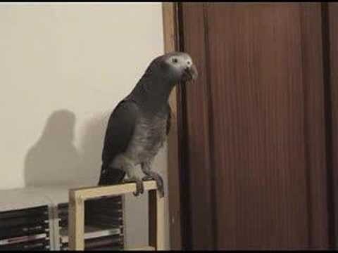 aspasia 2