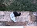 Man Falls from Burj Khalifa - Worlds Tallest Building