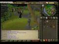 Runescape Pwnr.