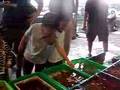 富基漁港看魚去
