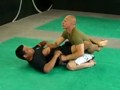 Fenix Fight Club