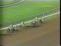 Chief's Crown - 1985 Travers Stakes