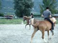 Galop