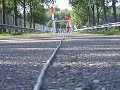 sbo sprint automaxx