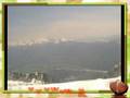 kanin slovenac malke