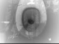 TODA PICHA