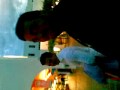videos de Elsa Pataky en Mojacar