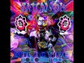 healthy-dub-ds-mix.html