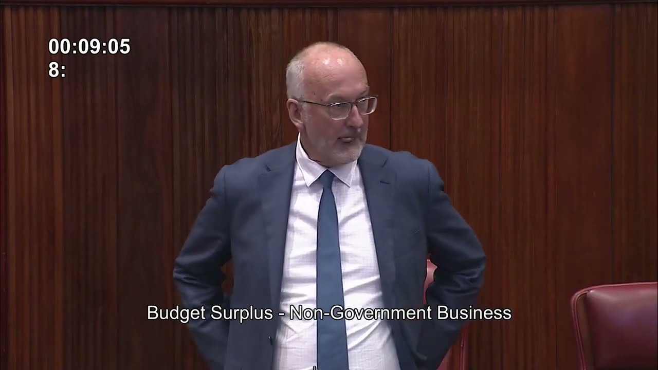 Non-Government Business: Budget Surplus - Hon Neil Thomson MLC