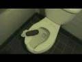 Outback Steakhouse Turd Bread Bathroom Prank