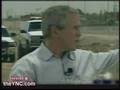 Our Dumb Bush