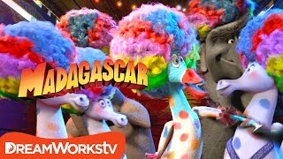 Afro Circus Remix | MADAGASCAR 3