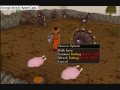 Runescape epic turkey fights!