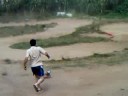 xtm vencedor vs team losi