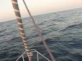 Traves�a Barcelona-Formentera