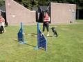 videos de Glenn behendigheid