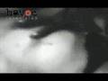 アレック・エンパイア Alec Empire