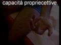 Agopunturacutanea