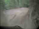 karate monkey2