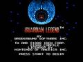 The Guardian Legend - Flying Levels