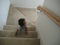 absee072006_crawling up stairs
