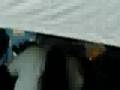  - MovieZen Video