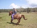 me cantering on my horse lilly bareback.