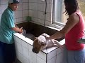 adestramento da Olga VII - agressividade