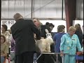 Lindsay Dog Show Day 2 Part 1 Lindsay Dog Show Day 2 Part 1