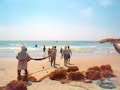 Fishing from the beach to Kovallam, Kerala, south India