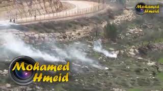 قطنه الصمود قطنه الصمود