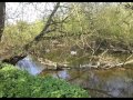 A country walk with Ireland and Hellaby! (Amberley ...