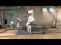 Medv?d na b?h�n�