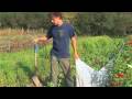 Vegetable Gardening : How to Protect Outdoor Plants From Frost