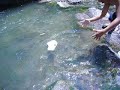 campamento   catarata