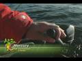 videos de Fall Trolling Speeds for Walleye - The Next Bite - Season 3
