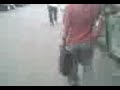 Walking fish Walking fish