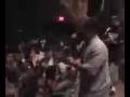 Gorilla Zoe Lost in Albany, GA