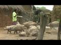 Die Erneuerbaren Energien in Ghana - Part 3