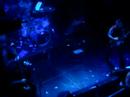 Tiger Army - Live in London 4th May 2007