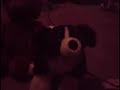 I lost on jeopardy bild a bear band I lost on jeopardy bild a bear band