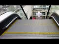 Angry Birds on an Escalator