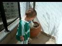 seu filho torcerdor do palmeiras seu filho torcerdor do palmeiras