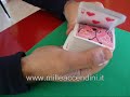 catoon cartone animato magia card tricks revealed catoon cartone animato magia card tricks revealed