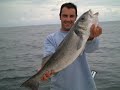 pesca en cadiz josema y vando pesca en cadiz josema y vando